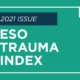 Trauma Index Graphic