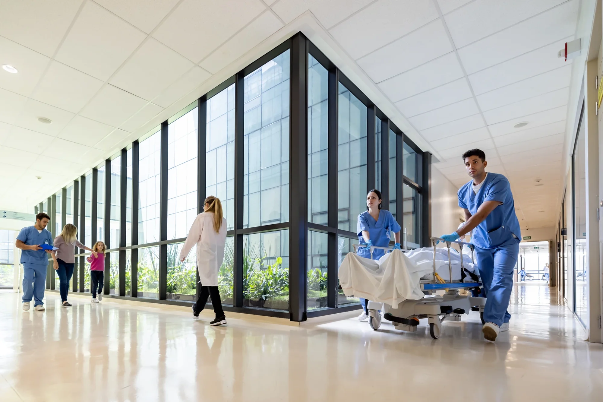 Hospital Flexible